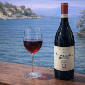 Malavoglia Valpolicella Ripasso